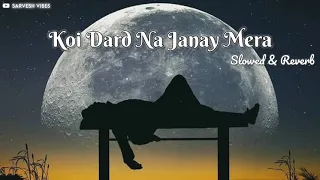 Koi Dard Na Janay Mera [Slowed + Reverb] - Sahir Ali Bagga | Mera Khuda Janay | Sad | Sarvesh_Vibes