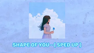 Ed Sheeran - Shape of you (sped up)[lyrics] ✨🎶