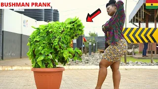 😂😂😂She Thought It Was A Flower! Bushman Prank.