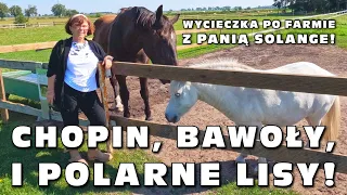 Chopin, bawoły, i polarne lisy! Wycieczka po farmie z Panią Solange, cz. 2