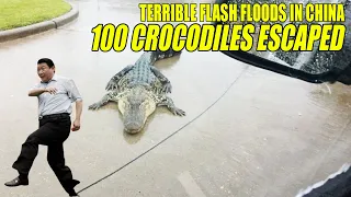 Terrible flash floods in China! Nearly 100 crocodiles escaped from the farm | China flood 2022