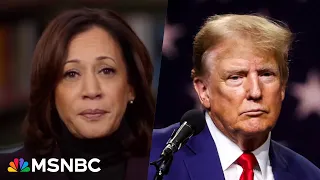 VP Harris blasts Trump’s ‘poisoning the blood’ rhetoric: 'A leader is someone who has empathy'