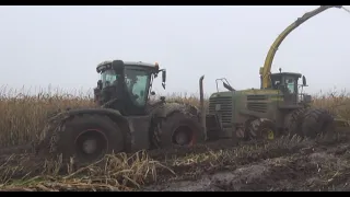 Maïs 2013 Loonbedrijf Hannes Verboven/Corn harvest in the mud Schlammschlacht