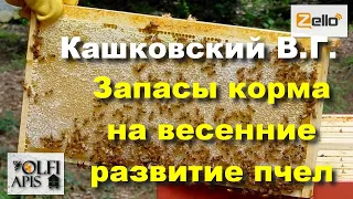 #Кашковский В. Г. Запасы корма на #весенние_развитие_пчел .