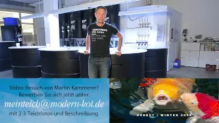 Modern Koi Blog #437 - Ihr Teich bei Modern Koi: Jetzt bewerben!