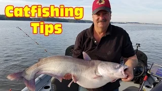 Tips for catching  blue catfish in a lake: Use this Multi Rig Technique to Catch Big Catfish