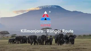 Kilimanjaro Rongai Route 3D - Inspire Alpine®