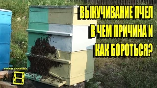 ВЫКУЧИВАНИЕ ПЧЕЛ. В ЧЕМ ПРИЧИНА И КАК БОРОТЬСЯ? ЛЮБИТЕЛЬСКОЕ ПЧЕЛОВОДСТВО С "0"