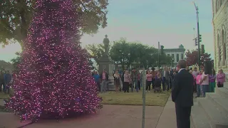 Parker County lights tree pink in Athena Strand's honor