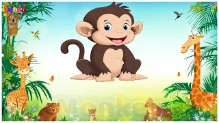 Learn Domestic Animals Name in English - Animals Name for Kids - Animals by Moko Loko Tv - Animals