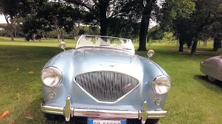 REB CONCOURS -  Premio La più Cinematografica - AUSTIN HEALEY 100-4 BN 1