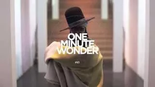 One Minute Wonder 43-   Erykah Badu