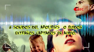 8 SONIDOS DE TROMPETAS EN EL CIELO CAPTADAS EN AUDIO