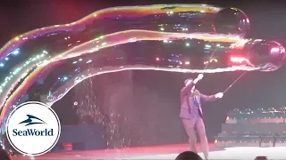New "POP" Bubble Show debuts at SeaWorld Orlando (Full Show Video) | BrandonBlogs