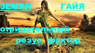 ✔ *Срочно* «Отрицательный резус фактор (Гайя). !» *Бог* ~