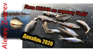 Первый лед 2020/Зимняя ловля 2020