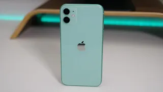 iPhone 11 - 6 Months Later