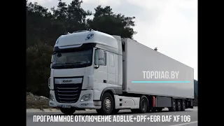 Отключение EGR, DPF и мочевины Adblue DAF XF106 2016 г.в.