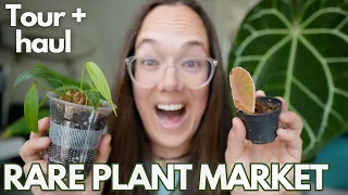 Rare plant market Eindhoven - a vlog | Plant with Roos