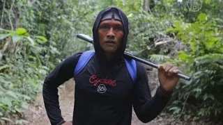 Вооружённые мачете индейцы защищают свой лес (новости)