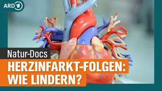 Herzinfarkt-Folgen lindern: Atemtherapie, Ernährung und Bewegung | NDR