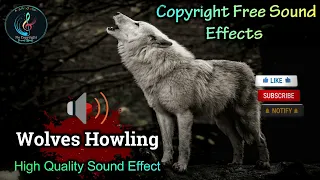 Wolves Howling Sound Effect | High Quality Horror Sound  | NCS Effects | Royalty Free #soundeffect