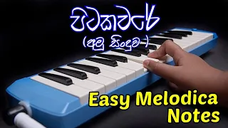 පිටකවරේ අමුවෙන්ම ගහමු | Pitakaware | Music Sir | Melodica Notes | Melodica Sinhala |