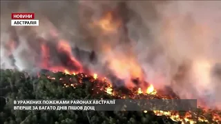 В Австралії радіють дощу: зворушливі кадри