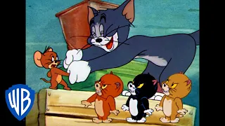 Tom & Jerry in italiano | Amici o nemici? | WB Kids