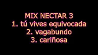 GRUPO NECTAR Mix néctar 3 KARAOKE