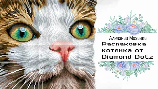 Распаковка алмазной мозаики от производителя Diamond Dotz "Grean eyed Beauty"