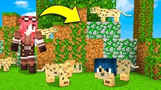 Minecraft ITA - NASCONDINO IN MEZZO AGLI OCELOT!!