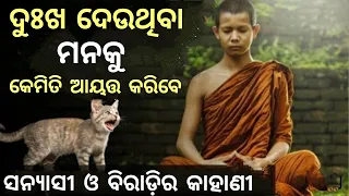 YOU CAN CONTROL YOUR MIND AFTER THIS। MONK AND CAT STORY। Buddhist Story। MUST WATCH ।