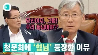 박지원-여상규 청문회장 설전..."당신이 판사야" vs "어디서 큰소리야" / 비디오머그