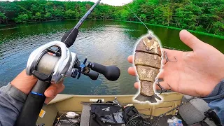 TWO FISH AT ONCE On The Bull Gill & Fish Blowing Up Everywhere || Swimbait Sessions