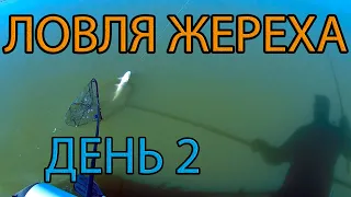 ЛОВЛЯ ЖЕРЕХА НА ДОНУ. ДЕНЬ 2. ОШИБКА РЫБАКА. ЭМОЦИИ ЧЕРЕЗ КРАЙ.