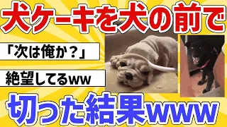 【2ch動物スレ】イッヌの前で犬型ケーキを切った結果ｗｗｗ