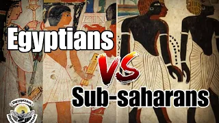 Ancient Egyptians were not black 🤔💬