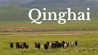 THINGS TO DO IN QINGHAI, CHINA | Qinghai Travel Guide | Tibetan Plateau