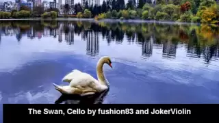 The Swan, Cello