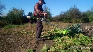 Первая проба работы бензотримера Foresta.