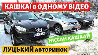 Nissan Qashqai в ОДНОМУ ВІДЕО // ЛУЦЬК // 21.12.2023р. #автопідбір #автобазар #кашкай