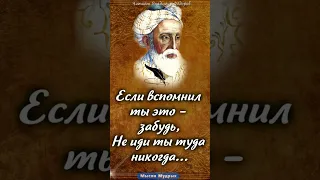 Омар Хайям "Никогда не иди назад" #мудрость #цитаты #shorts