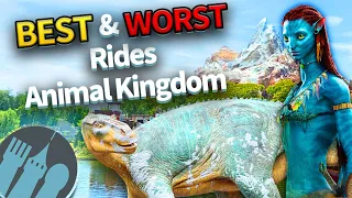 BEST & WORST Rides in Disney's Animal Kingdom