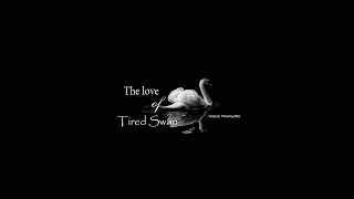 [Eng-Vietsub] The Love Of Tired Swans - Dimash Kudaibergen (Piano Version)