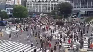 Shibuya Crossing