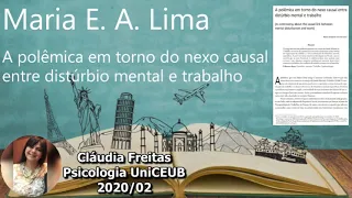 A polêmica em torno do nexo causal entre distúrbio mental e trabalho Maria Elizabeth Antunes Lima