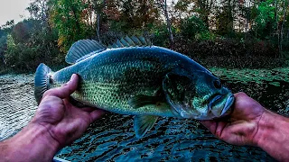 Fall Fishing The Booyah Pond Magic