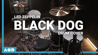 Black Dog - Led Zeppelin | Drum Cover By Pascal Thielen