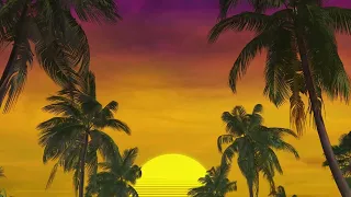 Summer Palm Trees Sunset Background 4K VJ Loop Video | No Copyright Motion Loop Video